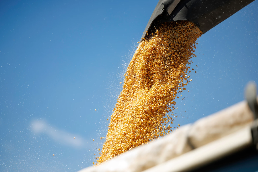 Grain Storage Best Practices for Corn