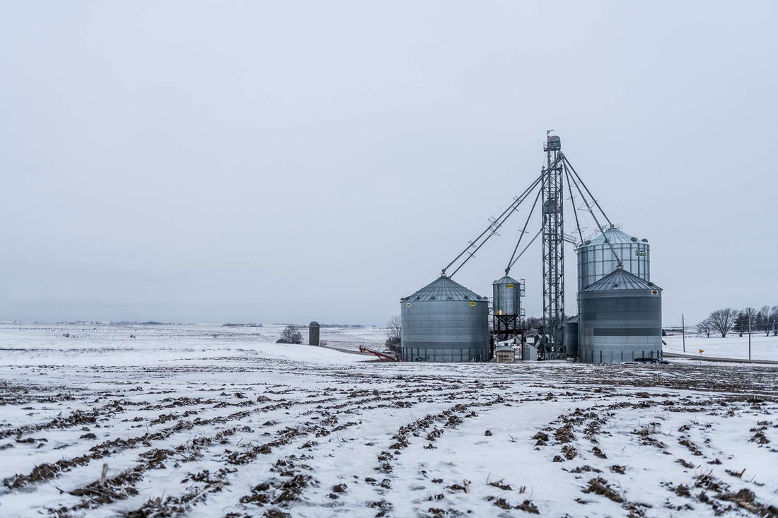Grain Storage Management During Winter: Preventing Moisture and Temperature Problems