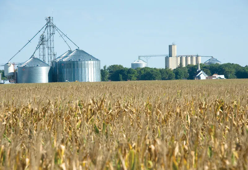 Farm Grain Storage Management Systems Explained