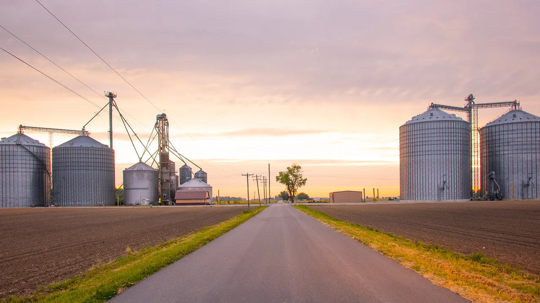Grain Storage Planning for Harvest Season: How Farms Prepare Bin Space